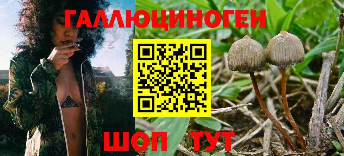 Дзержинский  Псилоцибиновые грибы мицелий  Галлюциногенные грибы прущие грибы  Вход с VPN 