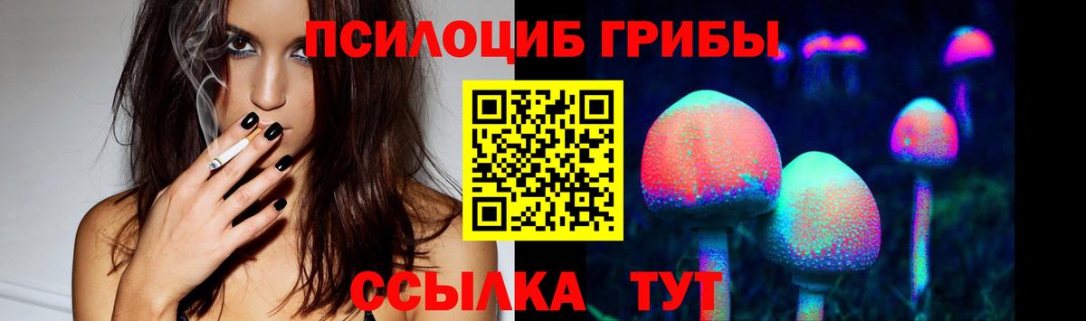Галлюциногенные грибы Psilocybe Дзержинский